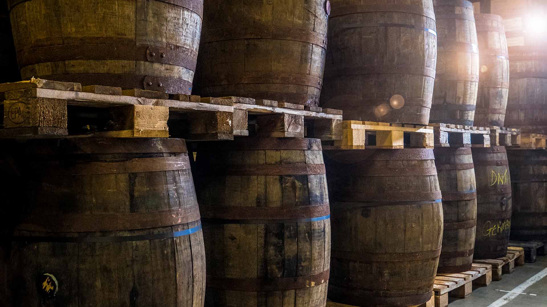 WHYNE Barrel