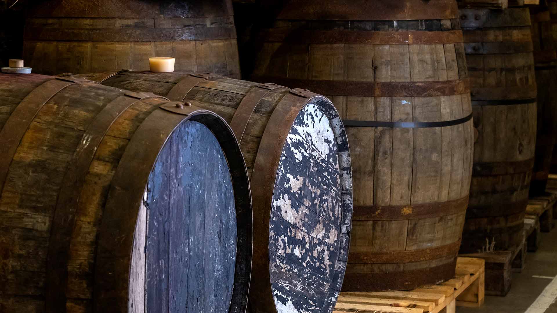 WHYNE Barrel